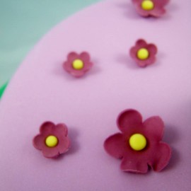  Close Up